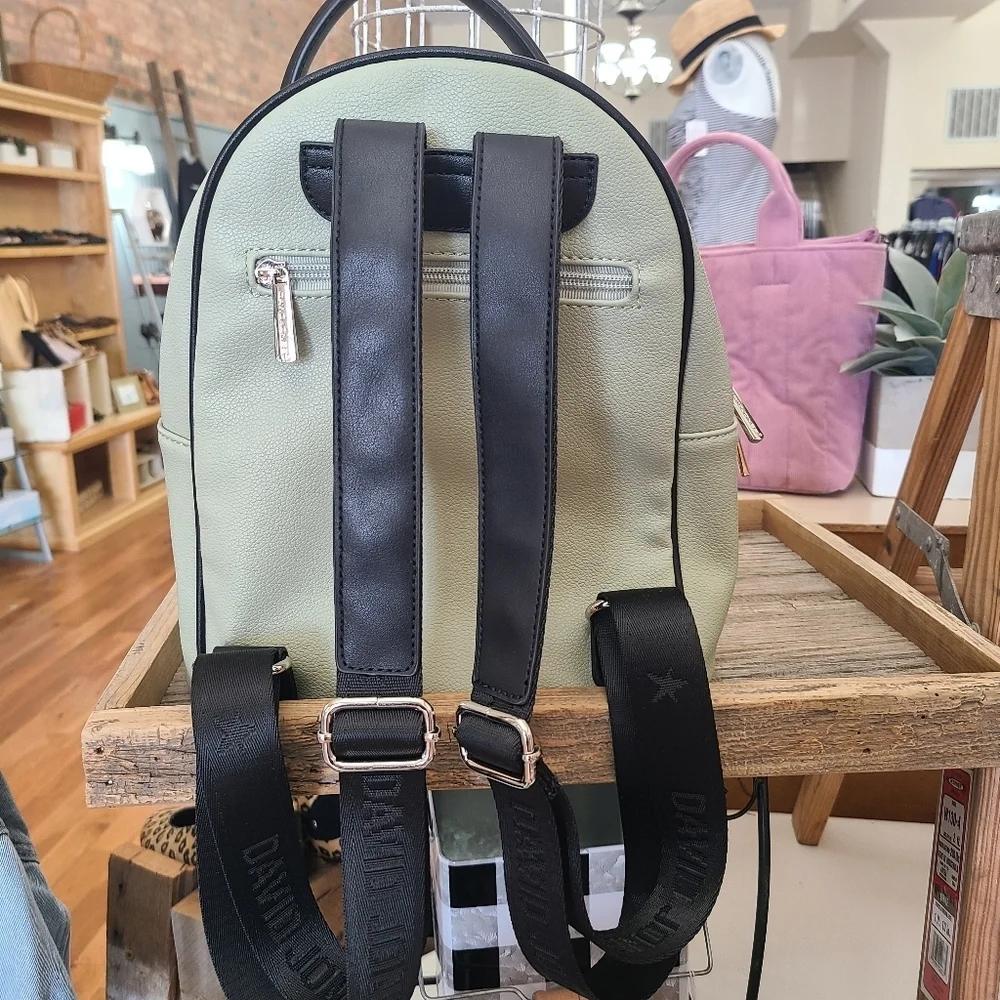 David Jones Pastel Green Mini PU Leather Backpack